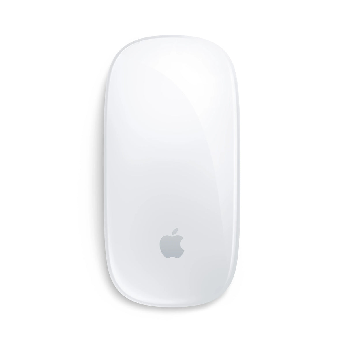Apple Magic Mouse Multi-Touch Surface USB-C Charging Cable MXK53ZA/A (New)